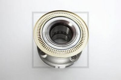 PE AUTOMOTIVE 03025100a -  Подшипник ступицы колеса
